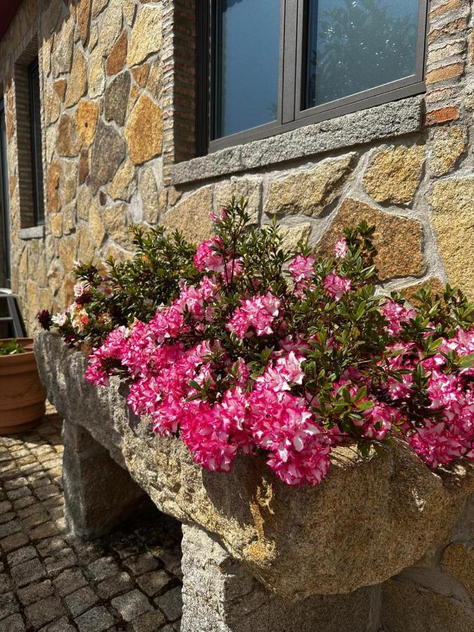 Quinta Das Oliveiras Turismo Rural Hotel Fundao Exterior photo